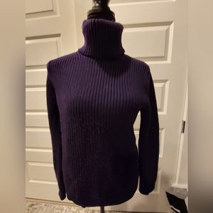 𝅺Aritzia Babaton sweater